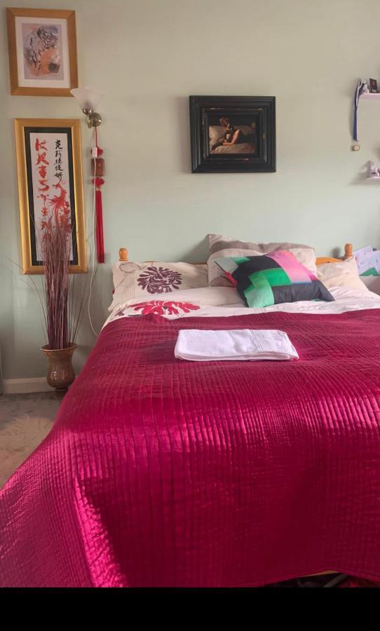Cosy Room In London Wembley Bagian luar foto